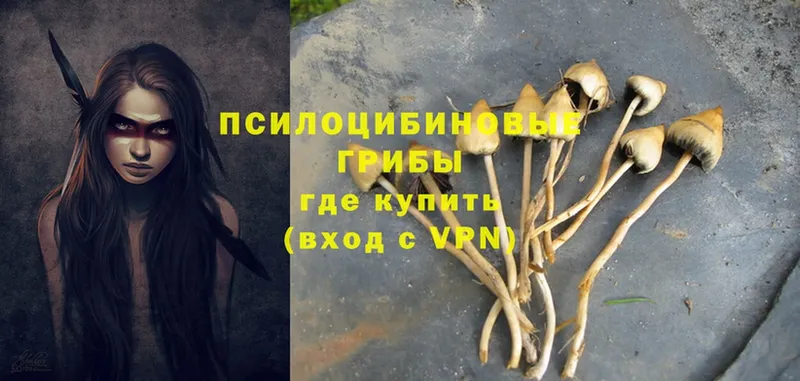 Псилоцибиновые грибы Psilocybe  Верхоянск 